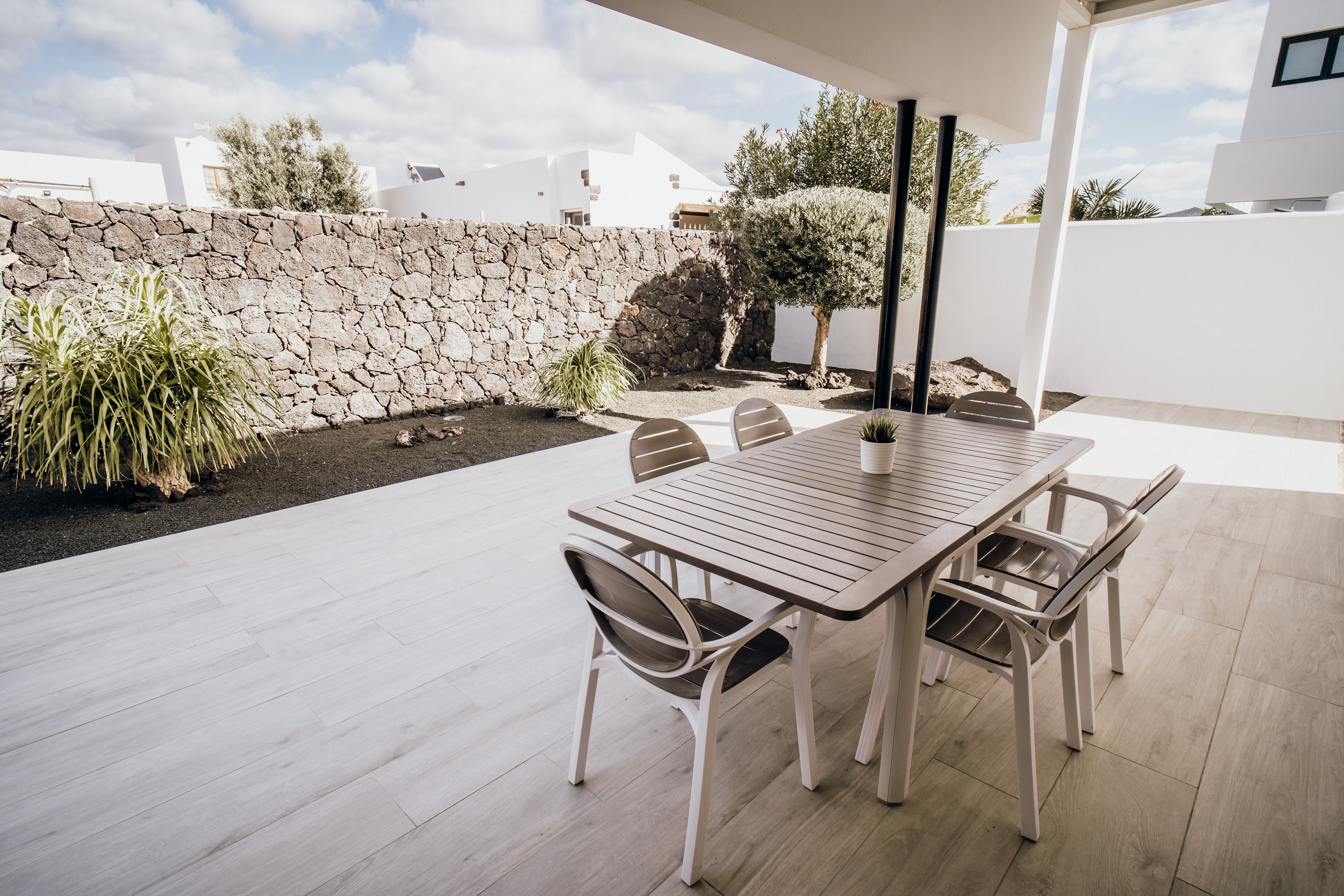 Jardín trasero con olivo